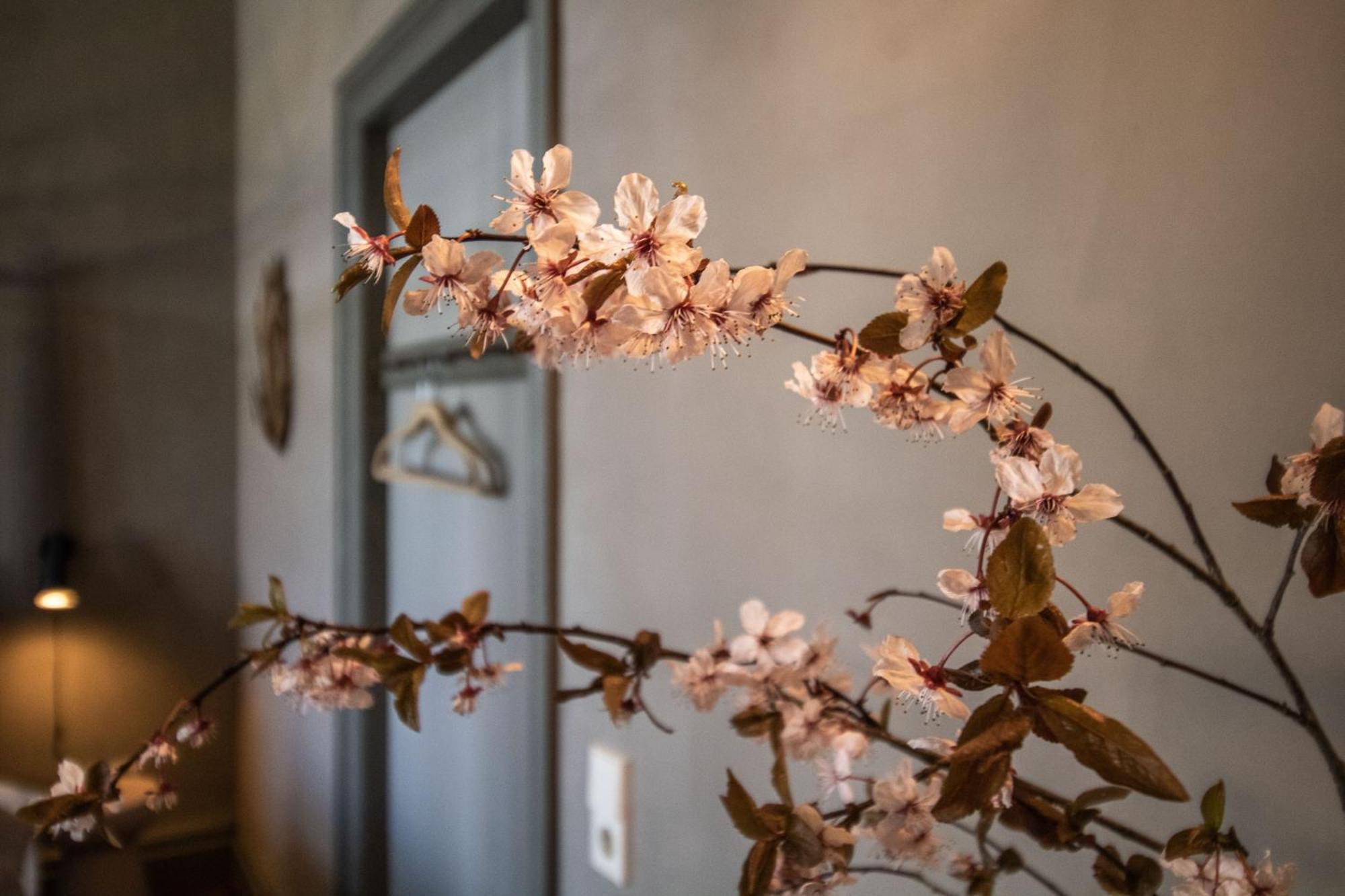Apartament Gutshaus Zarchlin Barkhagen Pokój zdjęcie
